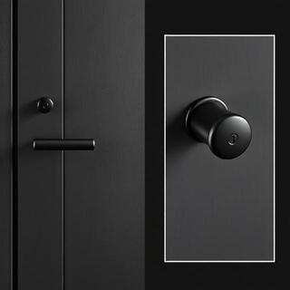 Black lever with concrete wall